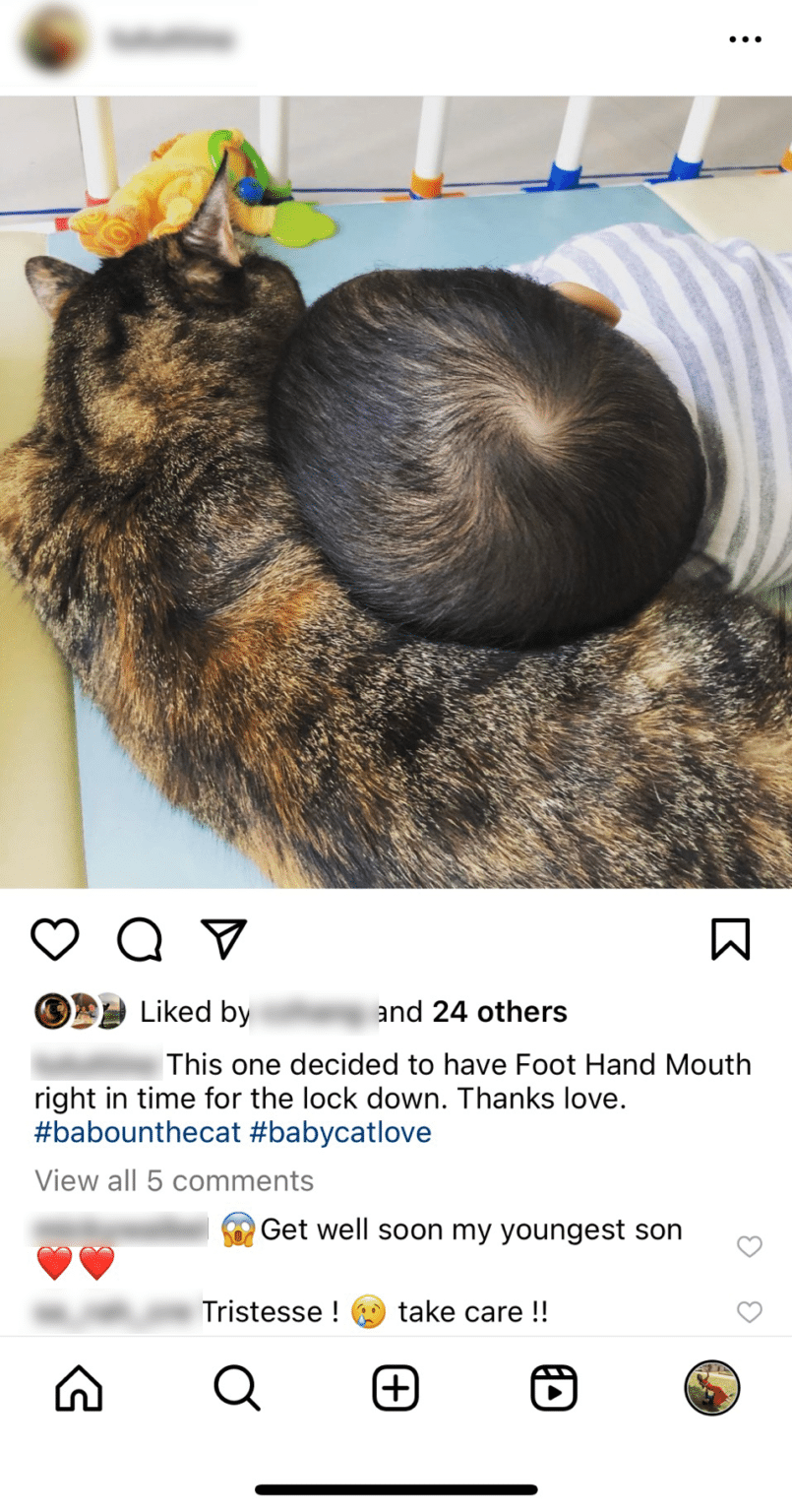 Hand Foot Mouth Disease A guide for parents