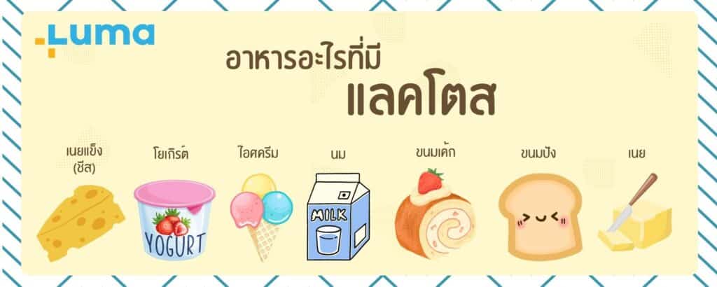 แพ้แลคโตส, แพ้นมวัว แพ้แลคโตส คืออะไรกันแน่?