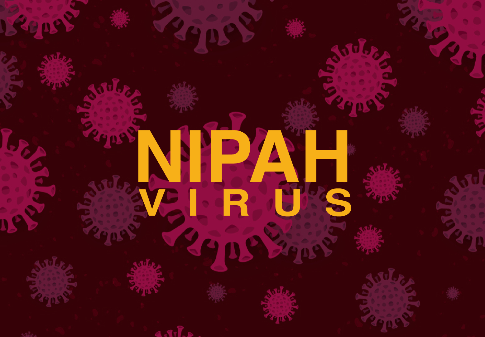 nipah virus cause