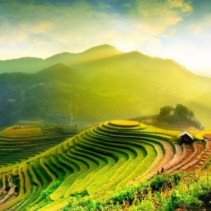 travel insurance for laos