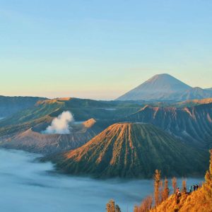 travel insurance for indonesia