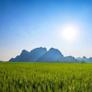 travel insurance myanmar
